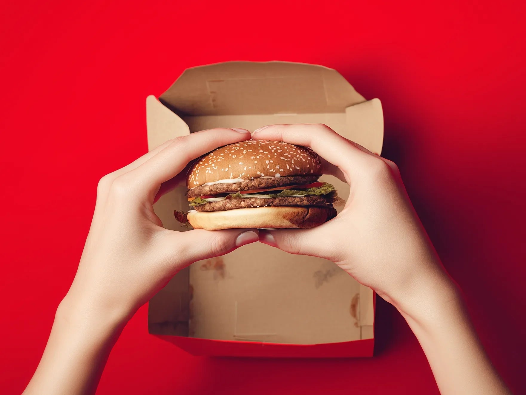 Custom Printed Burger Boxes
